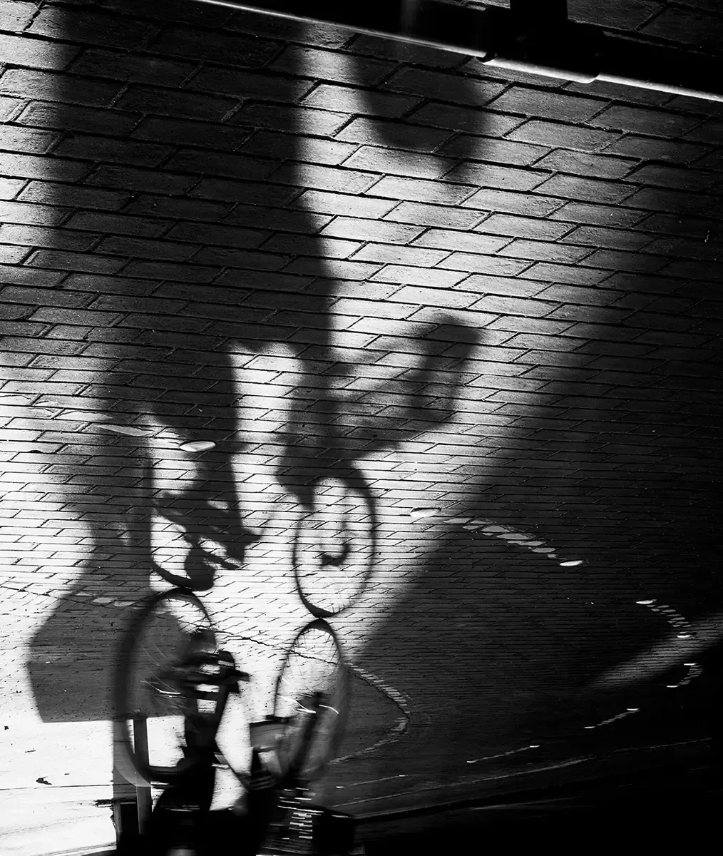 Shadows and Movement (2025)